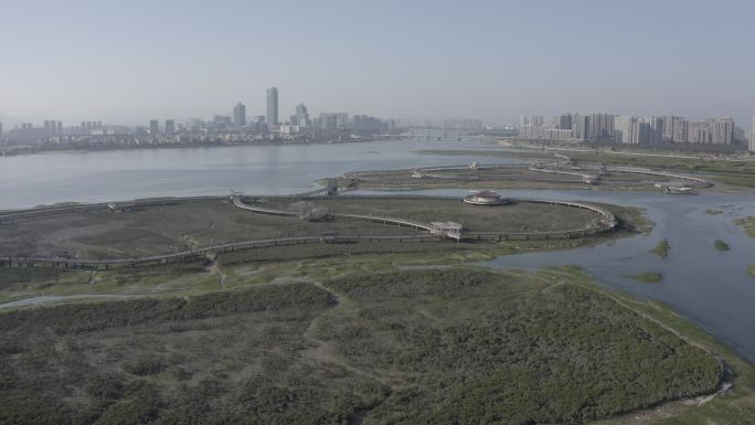 厦门 翔安 下潭尾湿地公园 木栈道