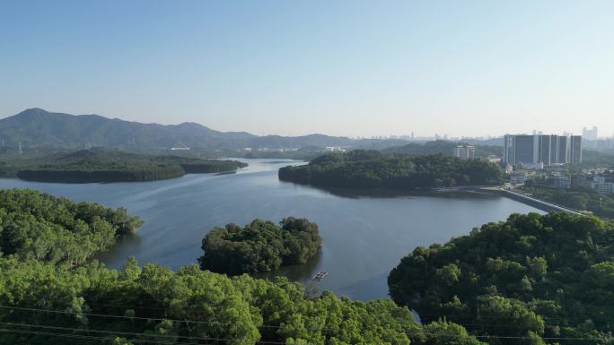 深圳南山区西丽水库航拍