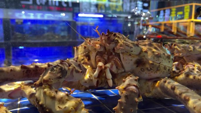 海鲜店水箱里帝王蟹螺贝