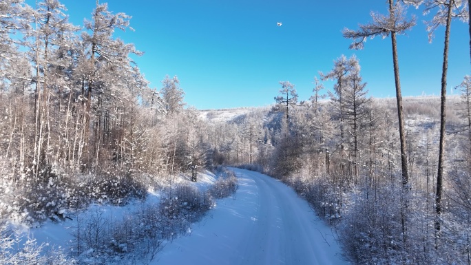 航拍林海雪原雪林山路