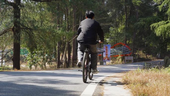 骑自行车上班骑行穿过树林有氧运动亲近自然