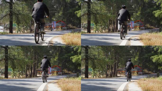 骑自行车上班骑行穿过树林有氧运动亲近自然