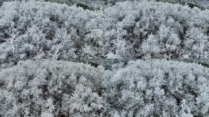 冰雪天气大自然银装素裹