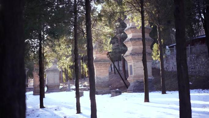 少林寺 游客 景区 塔林