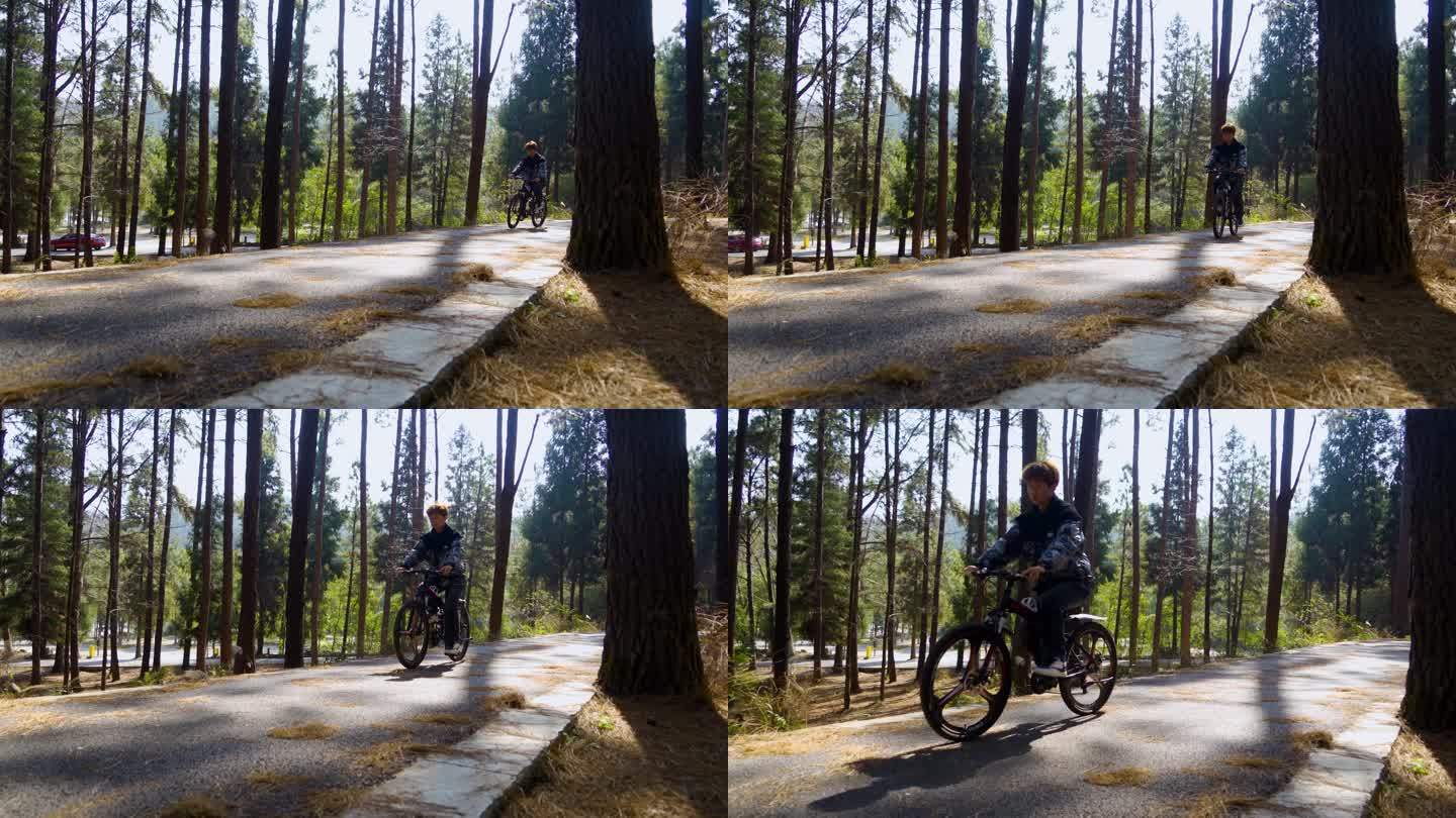 阳光少年骑着自行车穿过林间小道运动爱好者