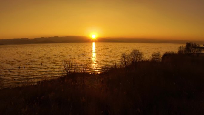 【4K】泸沽湖日出夕阳逆光芦苇