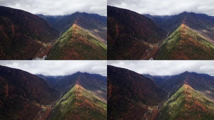 川西康定山川金黄色的秋天航拍