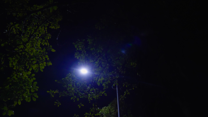 城市夜景 -灯光夜景- 道路夜景