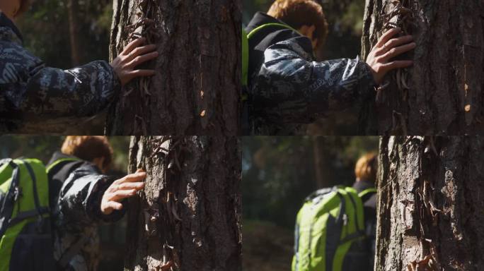 手触摸老树特写树林光影探秘森林徒步前行