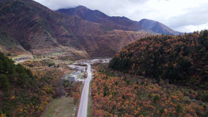 川西康定山川金黄色的秋天航拍