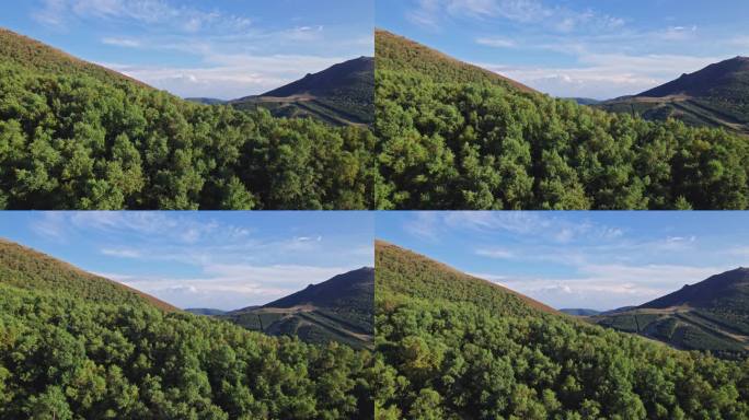 4K崇礼蓝天青山树林航拍山川松树