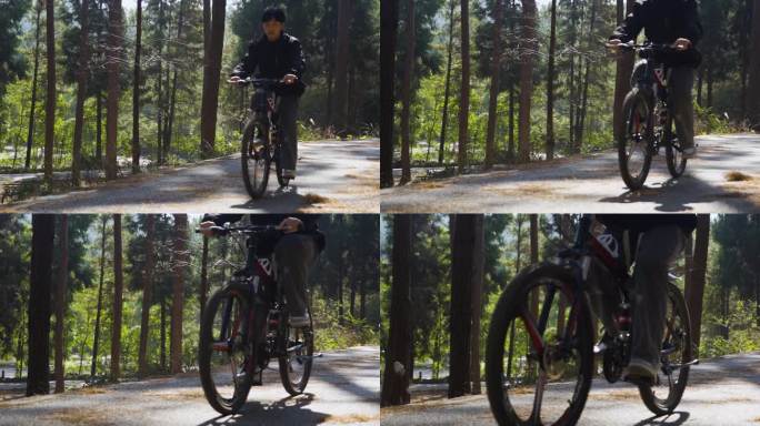 骑自行车穿过林间小道阳光少年户外骑行锻炼