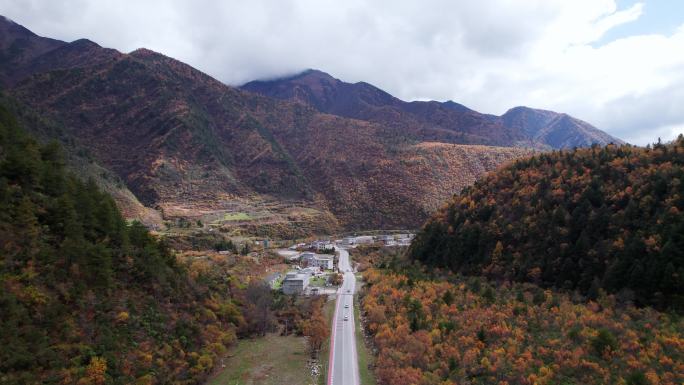 川西康定山川金黄色的秋天航拍