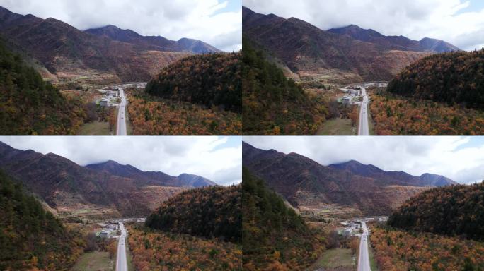 川西康定山川金黄色的秋天航拍