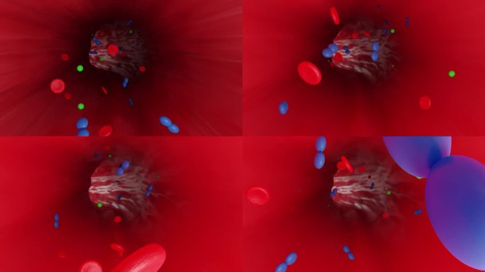 3D三维动画血管吸收营养从病态恢复健康