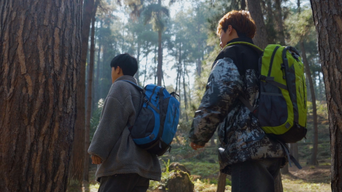森林徒步旅行树林光影团队精神户外探险背影
