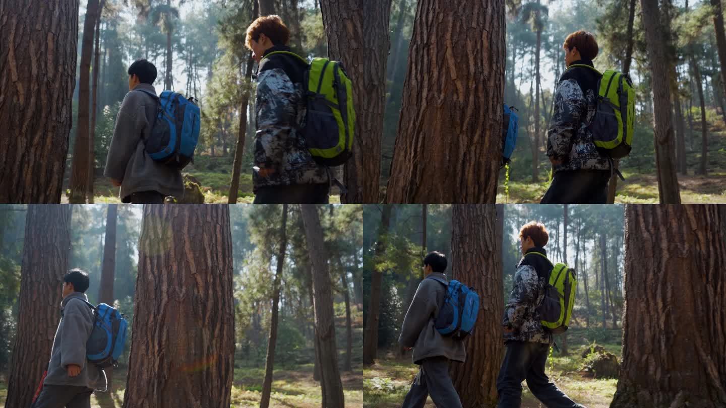 森林徒步旅行树林光影团队精神户外探险背影