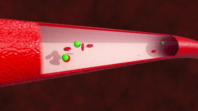 3D三维动画血管吸收药物或营养