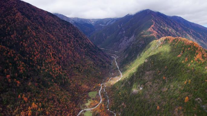 川西康定山川金黄色的秋天航拍