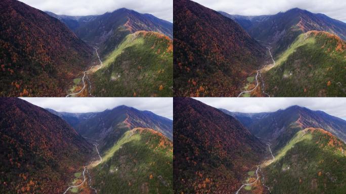 川西康定山川金黄色的秋天航拍