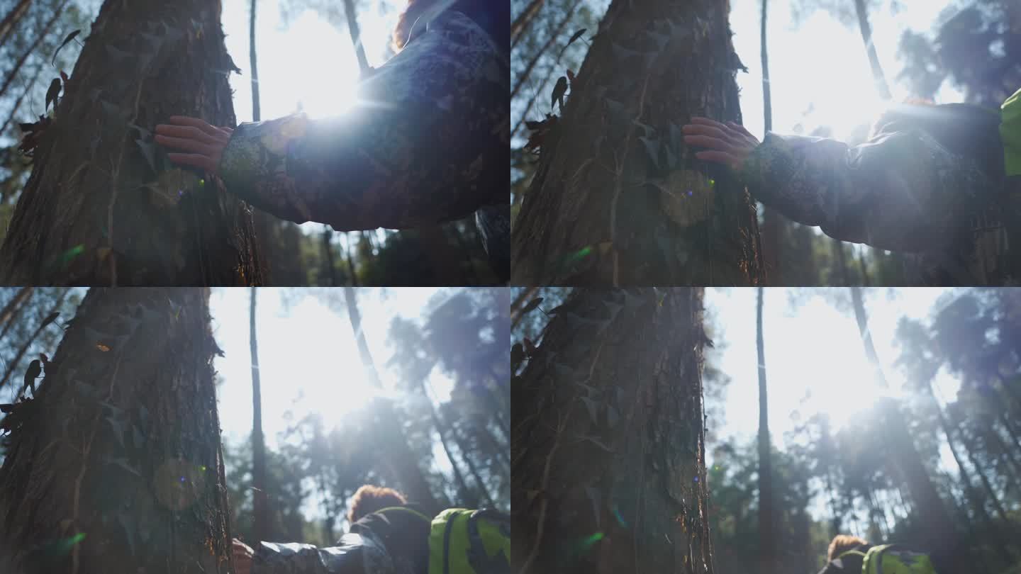 手触摸大树特写逆光人物森林徒步树林光影