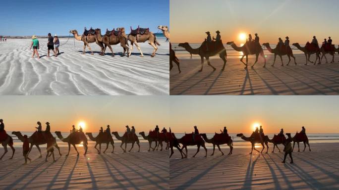 布鲁姆海滩骆驼