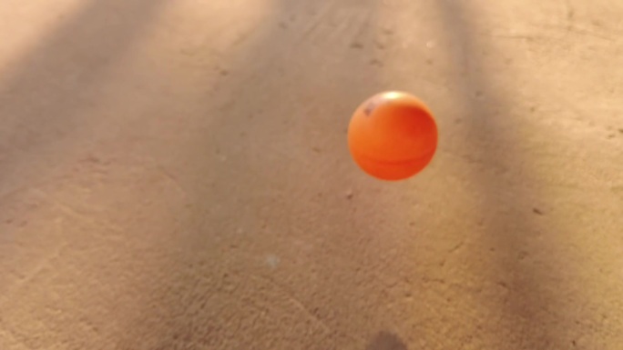 阳光 地面 乒乓球