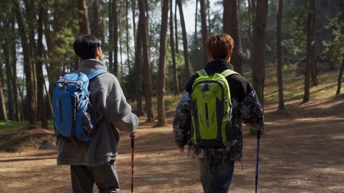 团队树林徒步前行登山背影户外旅行团队精神