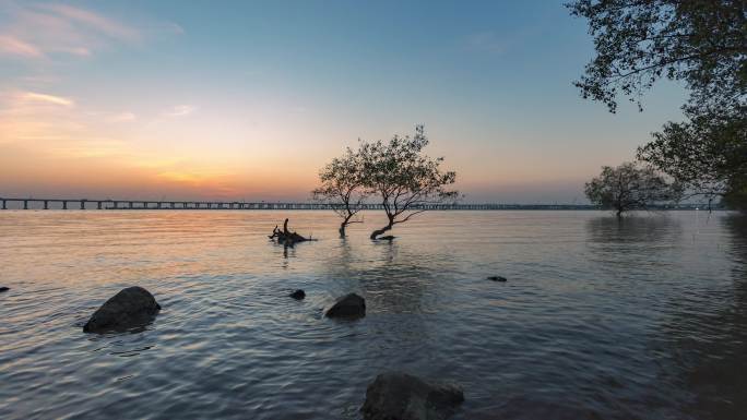 深圳西湾红树林日落延时美景