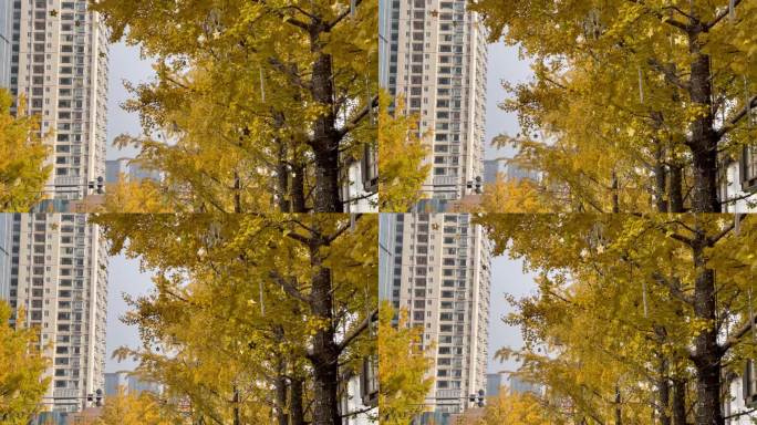 城市美陈灯光装饰银杏树