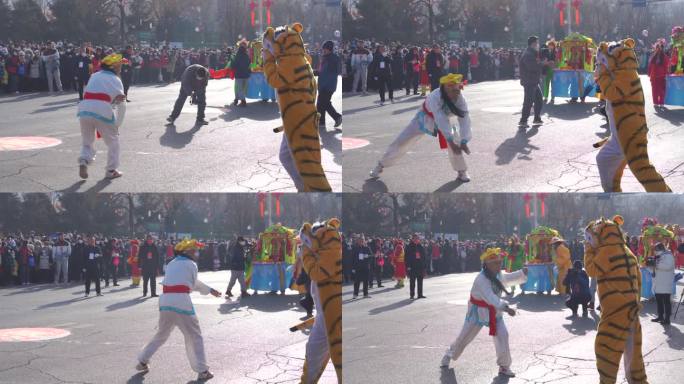 永登社火狮子熊