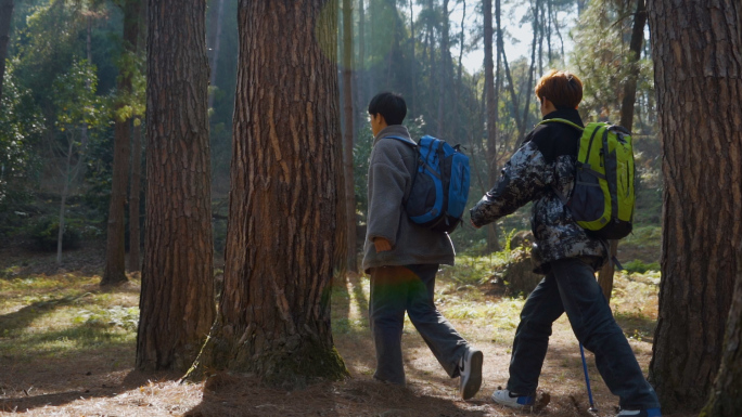 穿过丛林团队精神森林徒步探秘森林旅行者