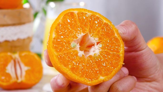 柑橘合集