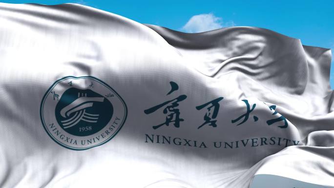 宁夏大学旗帜