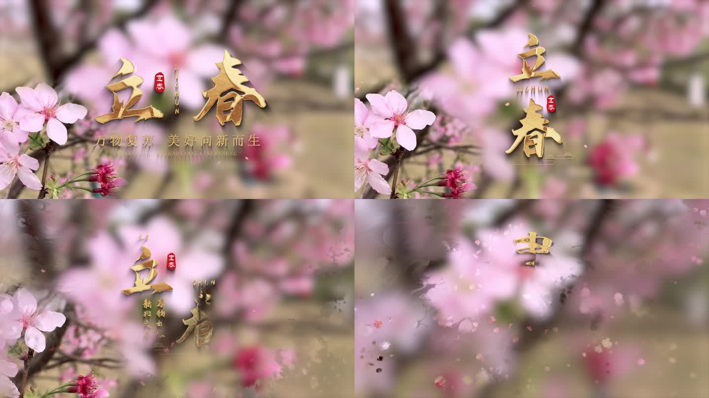立春片头 Ae模板下载 编号 Ae模板 光厂 Vj师网 Www Vjshi Com