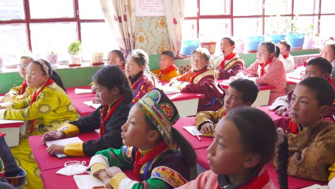 高原小学生 小学生上课 西藏学生上课