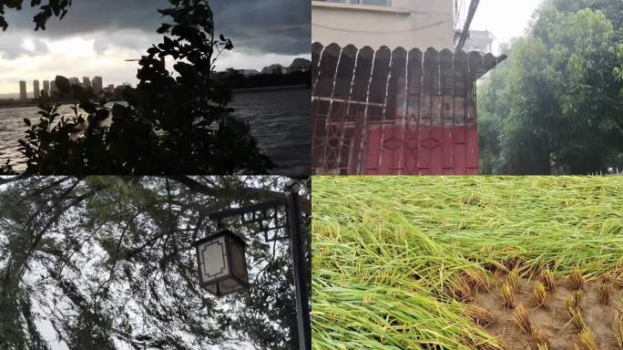 自然灾难强台风狂吹大风实拍真实台风视频