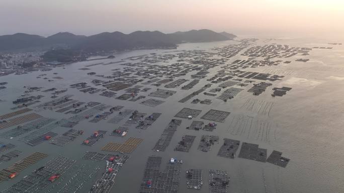 原创 航拍漳州东山岛布袋澳海上水产养殖