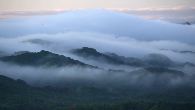 山间的晨雾自然生态森林资源