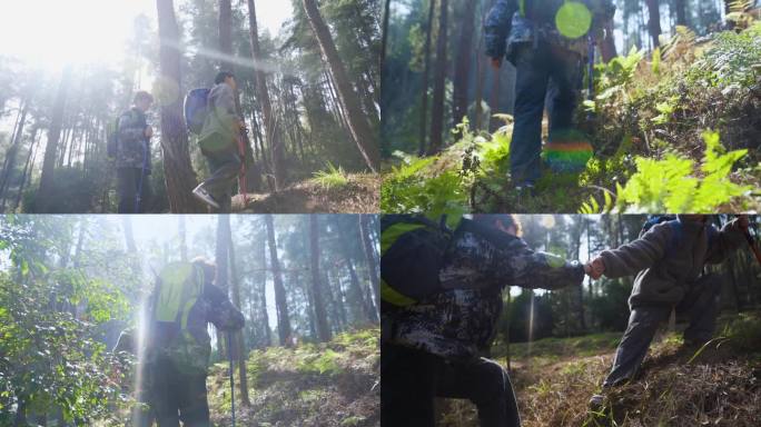 团队登山探秘森林徒步旅行穿越丛林亲近自然