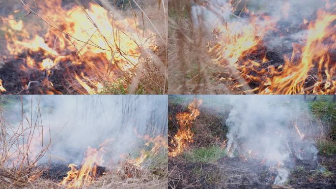 烧稻田野草烟雾缠绕火焰
