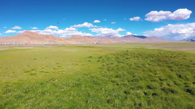 草地 西藏草原 阿里草原 高原草原