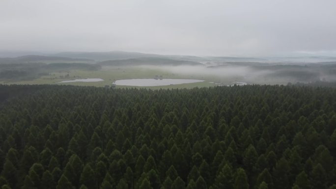 塞罕坝湖泊草地自然风光景色高清航拍