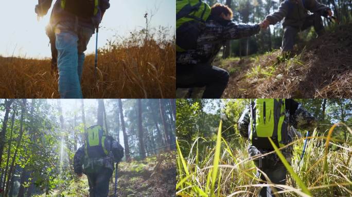 团队登山背影手拉手爬山穿越森林人物背影