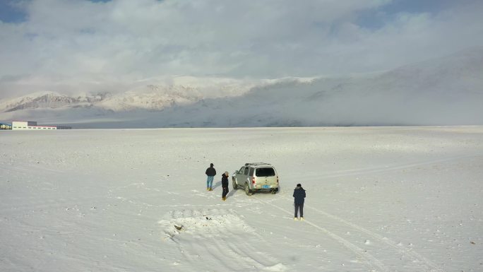 冬季雪花 雪花落下 浪漫 温馨雪绒花山脉