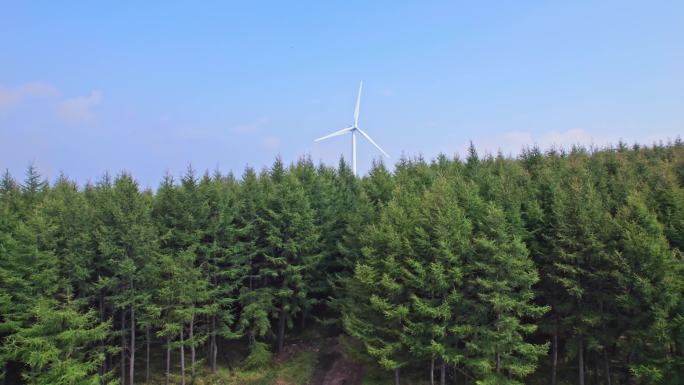 4K崇礼蓝天青山树林航拍山川松树风车