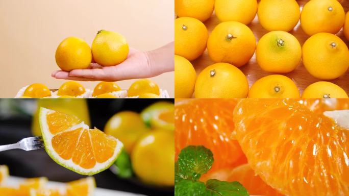 柑橘合集