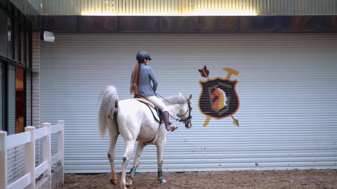 马术运动骑马 室内骑马体验