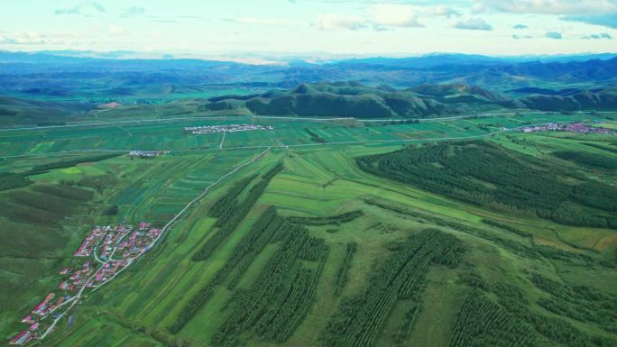 4K崇礼蓝天青山树林航拍山川松树