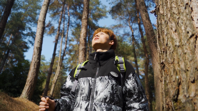 穿越丛林徒步旅行森林冒险亲近自然登山爬山